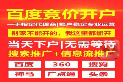 百度广告竞价之成功案例：某行业领军企业的崛起之路
