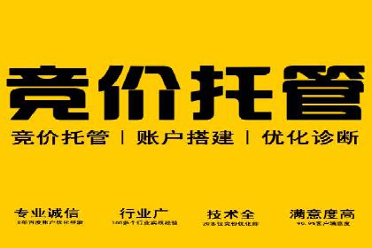 优化效果显著：SEM托管服务案例集锦